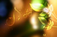 فايل PSD پي اس دي لايه باز 271 
