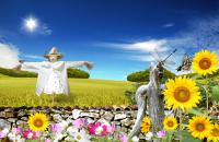 فايل PSD پي اس دي لايه باز 246 