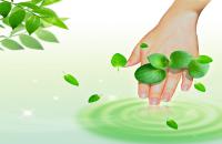 فايل PSD پي اس دي لايه باز 265 